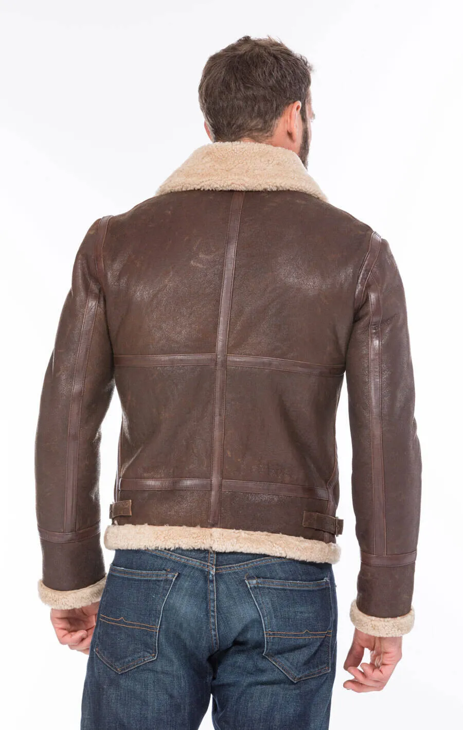 Bombardier sheep brown man aged 101297