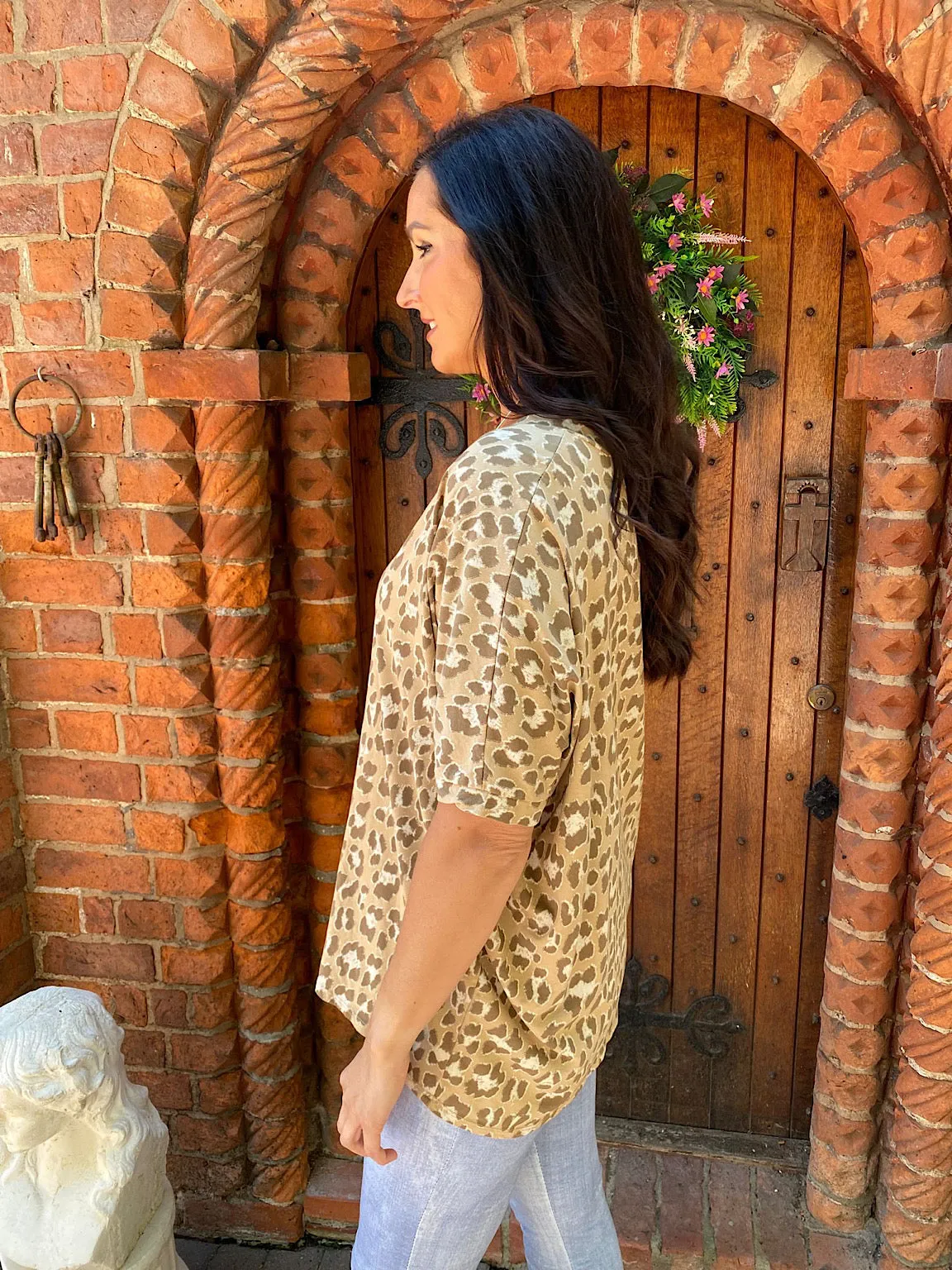 Leopard Print V Neck Top Trixie