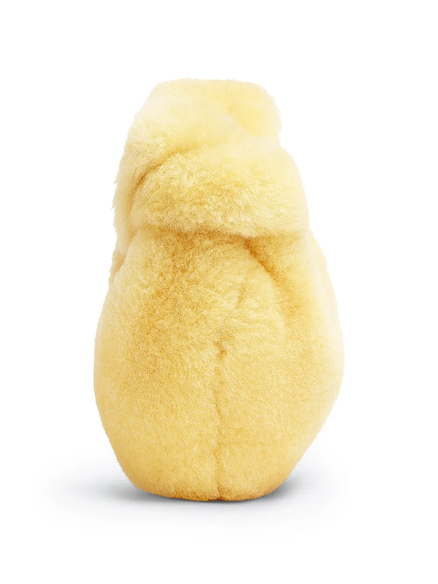 Mini Jodie in Teddy