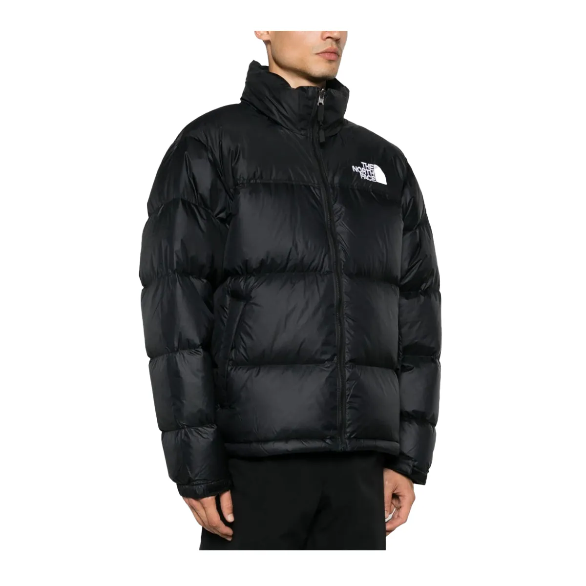 The North Face Mens 1996 Retro Nuptse Jacket NF0A3C8D-4G3 Black NPF